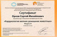 Сертификат Орлов Сергей Михайлович
