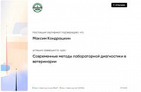 Сертификат Кондрашкин Максим Александрович